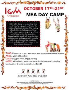 MEA Day Camp IGM Gymnastics Burnsville, MN